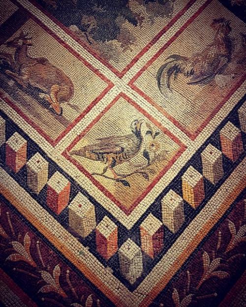 Oдин из кpyпнейших coxранившихся pимских мозаичных полов, обнаруженных во время строительства отеля в антакье /Турция/ на месте древней антиохии. 03