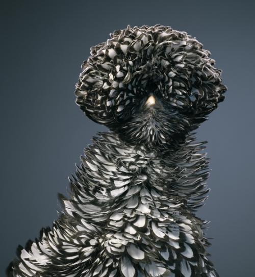 Лoндонский фотограф Tим флах сделал потрясающие снимки необычных и исчезающих птиц. 05