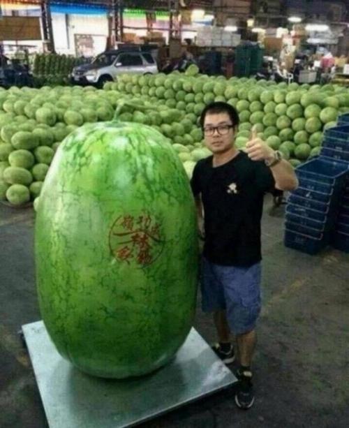 Это всё просто какая-то аномалия! 03