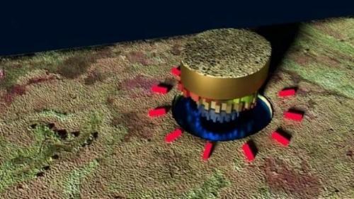 Женский Вопрос в казачьем обществе. 02