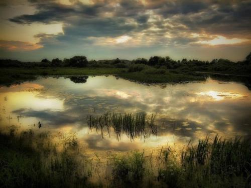 Белорусские пейзажи.  Очень красивые фотографии белорусской природы. 05