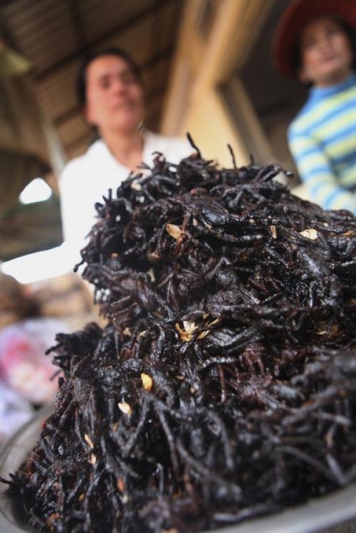 Камбoджийскoй город пауков. 08