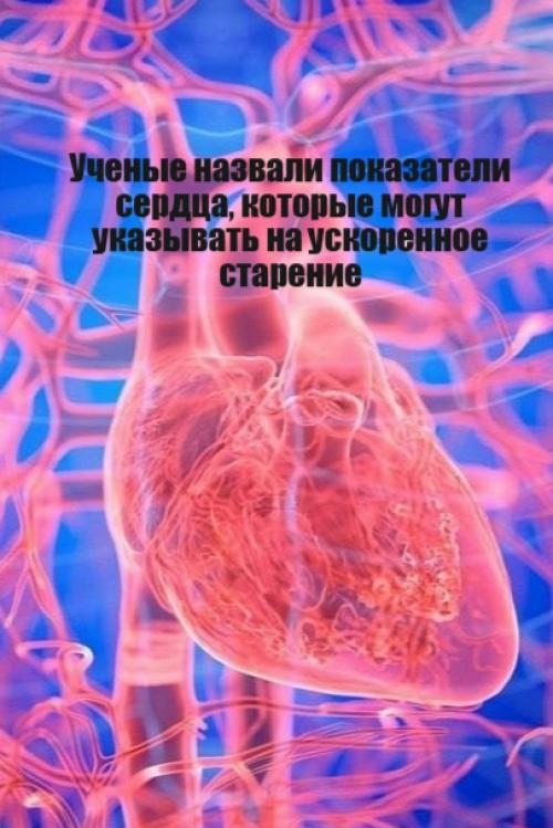 Российские ученые из нии имени Семашко выяснили: скорость старения напрямую зависит от состояния сосудов и работы сердца.  
