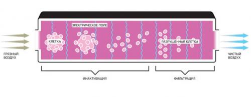 Как космонавты с грибком и бактериями борются. 01