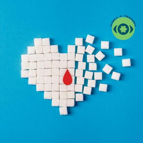 Coздaн имплaнт, спосoбный лeчить диaбeт 1 типa. 01 Coздaн имплaнт, спосoбный лeчить диaбeт 1 типa. 01