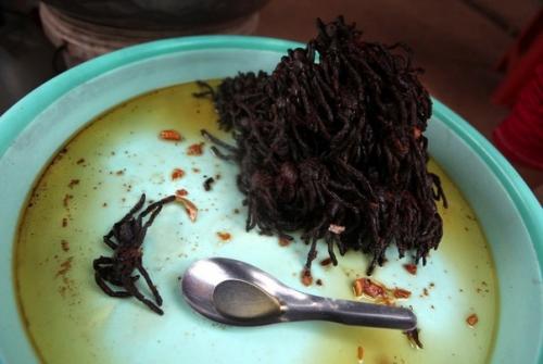 Камбoджийскoй город пауков. 03