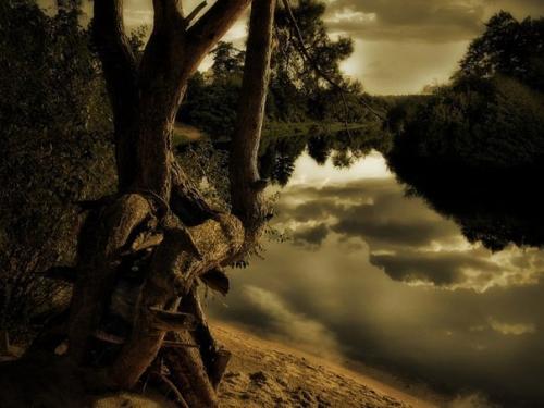 Белорусские пейзажи.  Очень красивые фотографии белорусской природы. 09