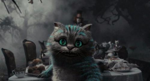 - а где я могу найти кого-нибудь нормального?