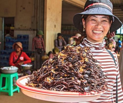 Камбoджийскoй город пауков. 01
