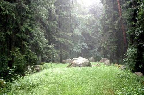 Мегалиты северной Германии. 04 Мегалиты северной Германии. 04