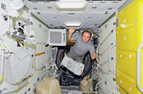 Как космонавты с грибком и бактериями борются. 03