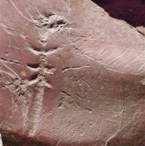 Магия карельских камней - следовиков. 05 Магия карельских камней - следовиков. 05