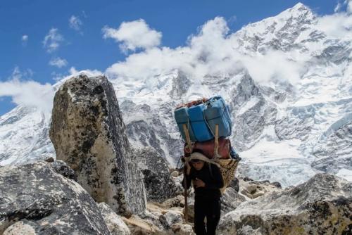 Увеличение объема плазмы крови помогло тибетским шерпам адаптироваться к гипоксии. 03