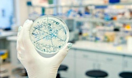 Ученые биокомпьютер из трех Видов микробов собрали. Ученые биокомпьютер из трех Видов микробов собрали.