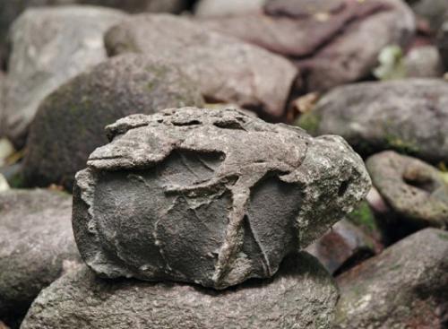 Покайнский лес.  Ezomir. 03 Покайнский лес.  Ezomir. 03