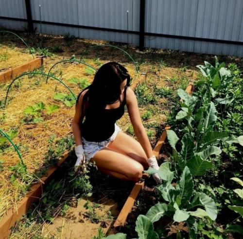 Хорошо на даче было летом. 02