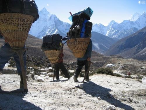 Увеличение объема плазмы крови помогло тибетским шерпам адаптироваться к гипоксии. 06