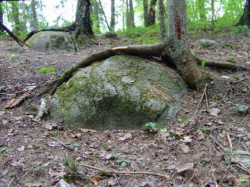 Покайнский лес.  Ezomir. 01 Покайнский лес.  Ezomir. 01