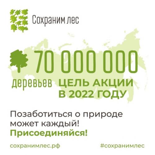 70 млн деревьев высадят по всей России, успей внести свой вклад! 05