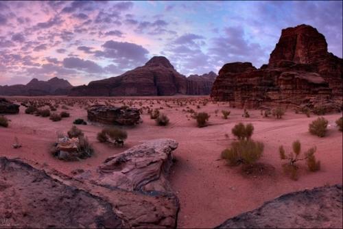 Самая прекрасная пустыня в мире. 04 Самая прекрасная пустыня в мире. 04