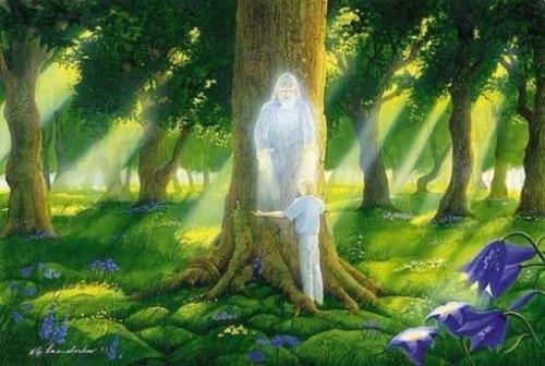 Живые души деревьев.
