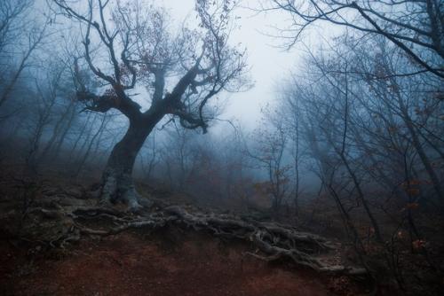 Загадочный летийский туман. 03 Загадочный летийский туман. 03