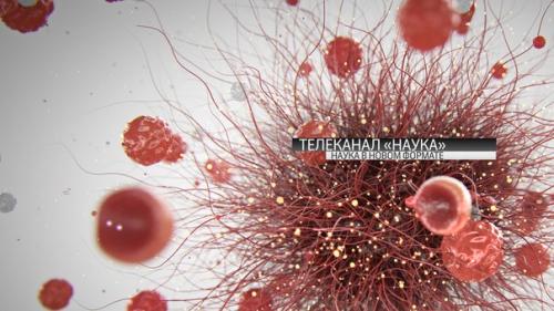 3 сентября мы начинаем новый сезон на телеканале Наука! 3 сентября мы начинаем новый сезон на телеканале Наука!