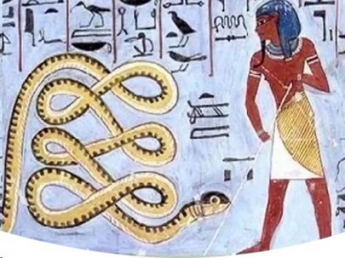 Земля пунт. Там, где копали археологи фараона. 02 Земля пунт. Там, где копали археологи фараона. 02