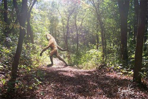 Лаосские волосатые лесные люди. Лаосские волосатые лесные люди.