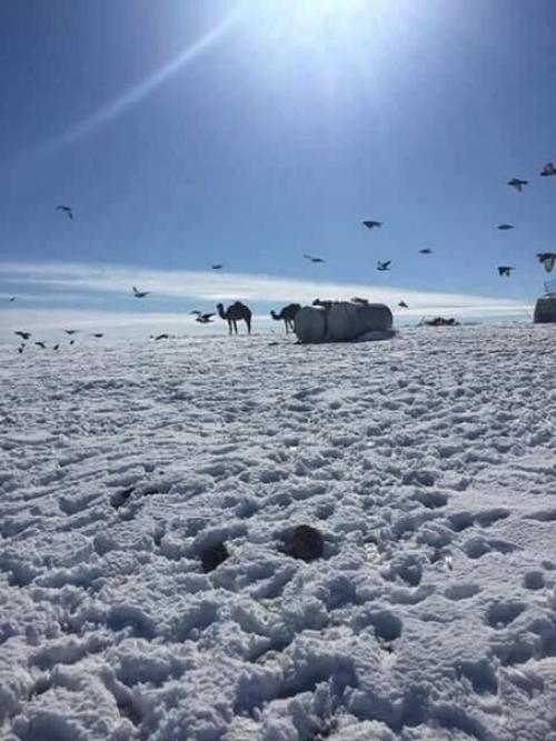 Пустыня сахара покрылась льдом, а в саудовской Аравии выпал снег. 08