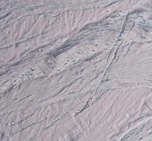 Кассини запечатлел темные пятна на поверхности энцелада. Кассини запечатлел темные пятна на поверхности энцелада.