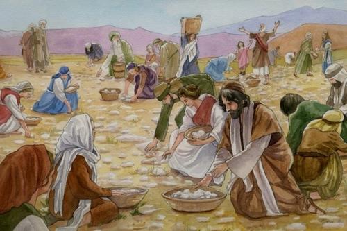 Ковчег. Гипотеза об инопланетной атомной машине по производству Манны Небесной. 02 Ковчег. Гипотеза об инопланетной атомной машине по производству Манны Небесной. 02