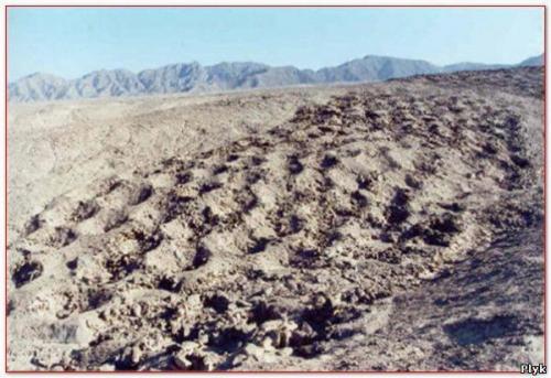 Перфолента на склоне Анд - писко Valley, перу. 07 Перфолента на склоне Анд - писко Valley, перу. 07