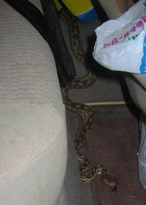 Едешь в авто, а тут. 02