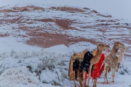 Пустыня сахара покрылась льдом, а в саудовской Аравии выпал снег. 05