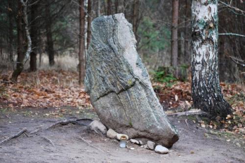 Загадки покайнского леса. 01 Загадки покайнского леса. 01