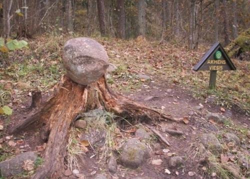Загадки покайнского леса. 04 Загадки покайнского леса. 04