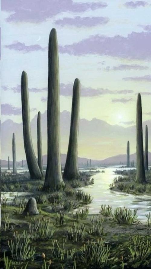 Прототакситы - первые цари суши. 01 Прототакситы - первые цари суши. 01