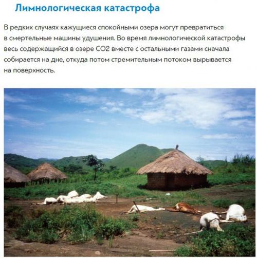 10 невероятных фактов из википедии. 02