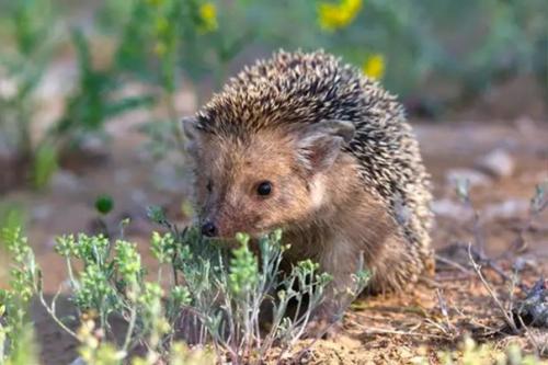 Загадки горы большое богдо. 02 Загадки горы большое богдо. 02
