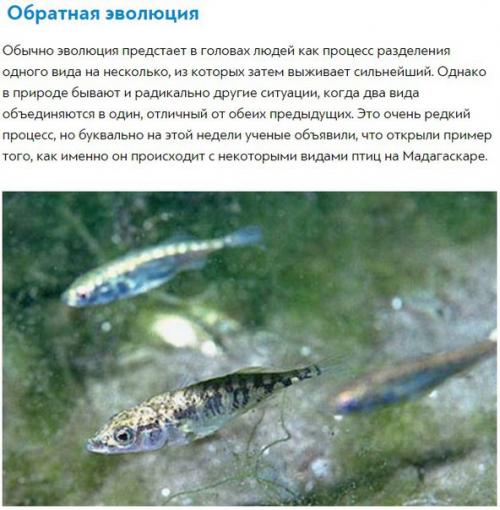 10 невероятных фактов из википедии. 01