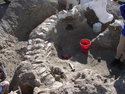 Найдены остатки дредноута самого большого существа жившего на суше. 02 Найдены остатки дредноута самого большого существа жившего на суше. 02