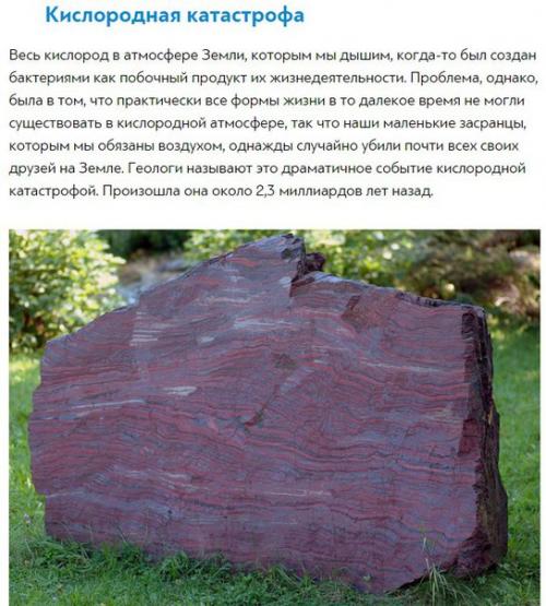 10 невероятных фактов из википедии. 09