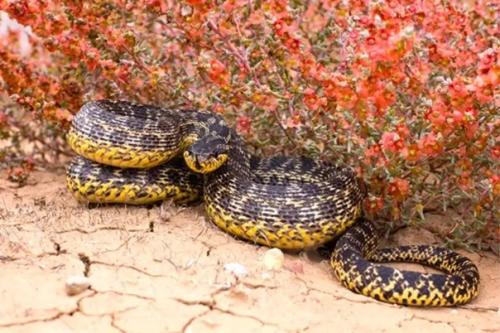 Загадки горы большое богдо. 01 Загадки горы большое богдо. 01