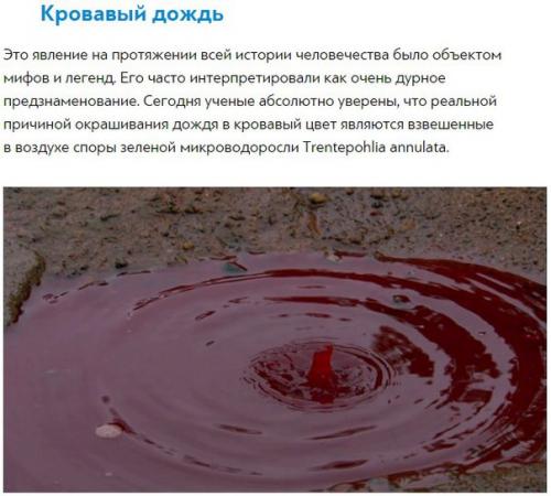 10 невероятных фактов из википедии. 07