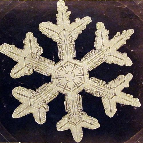 Прошлое.  Самые первые микро - фотографии снежинок сделал американский фермер Уилсон бентли в 1885 г. 03