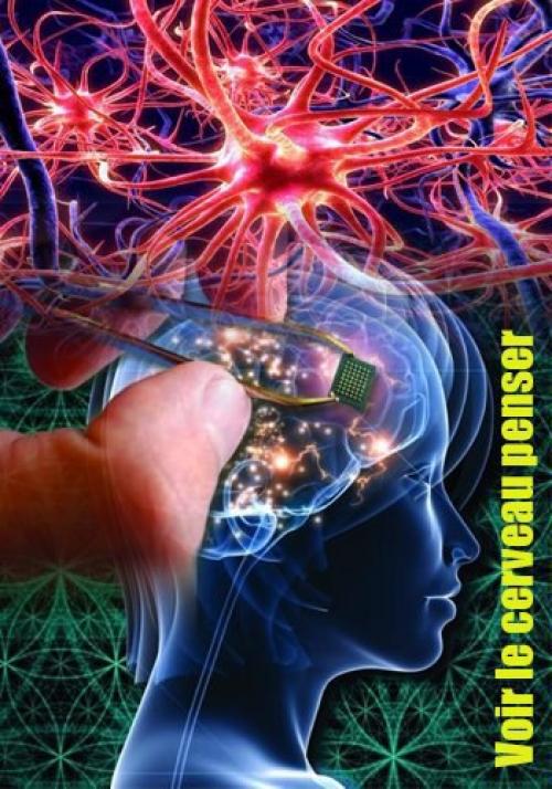 Как думает наш мозг / Voir le Cerveau Penser (2014).
