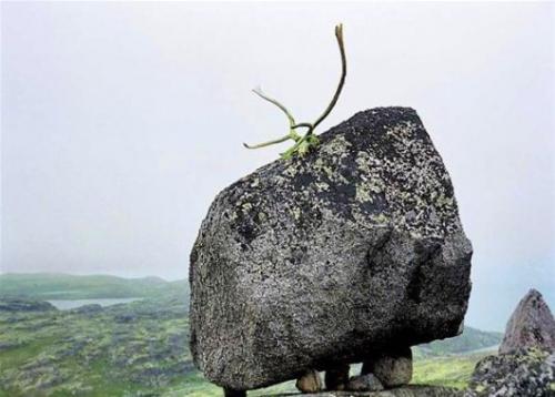 Шаманы полуострова кольский. Кольский полуостров. 
Ezomir.