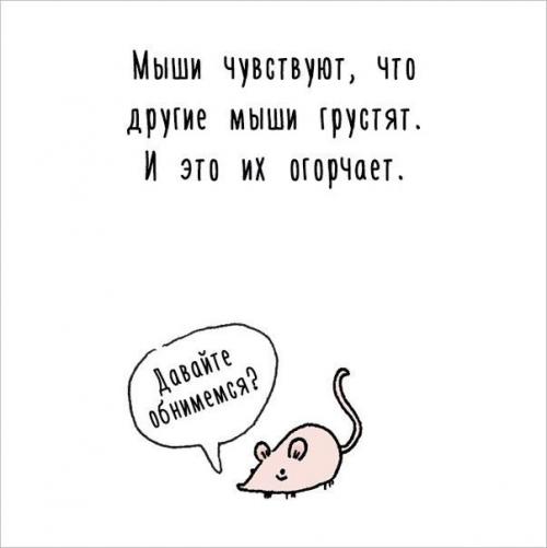 Художница придумала самый милый способ рассказать интересные факты о животных. 09