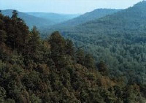 Легенды жигулевских гор. 07 Легенды жигулевских гор. 07